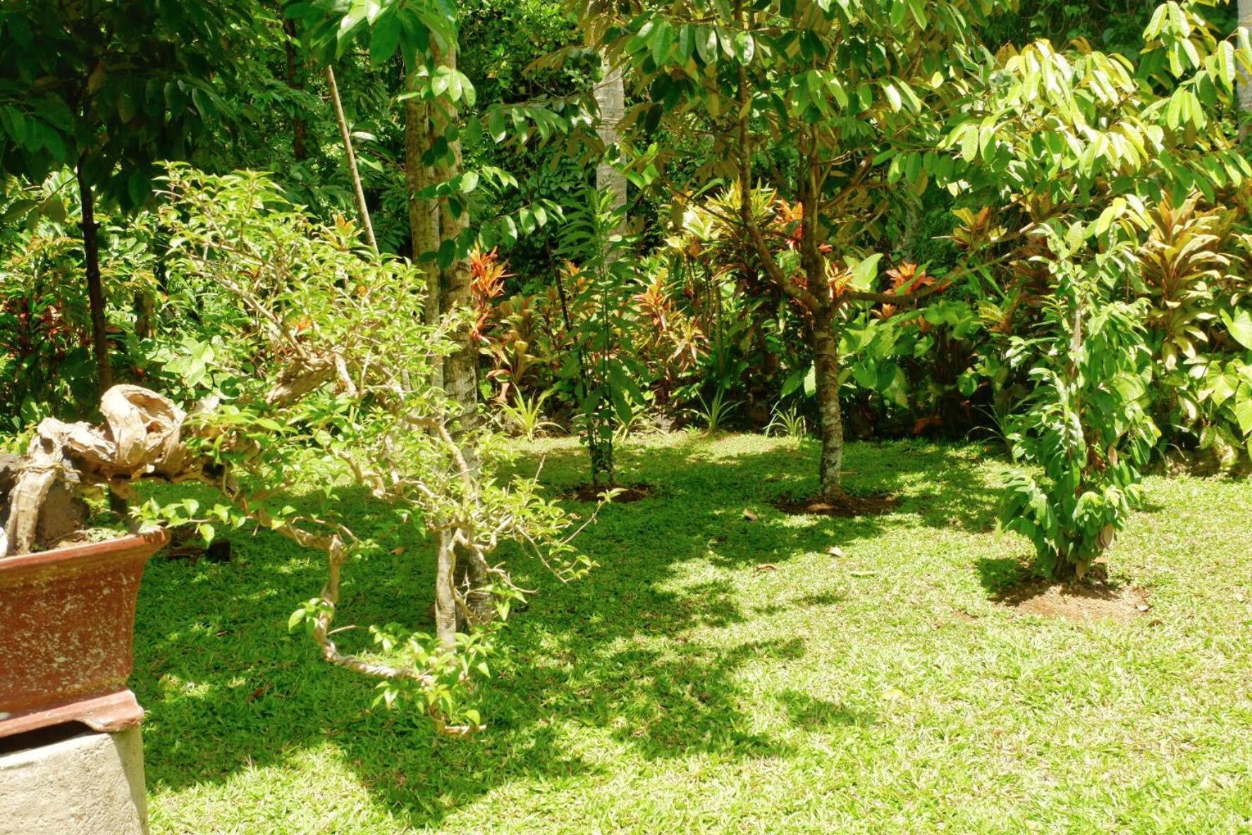 Artja Inn Ubud Екстериор снимка